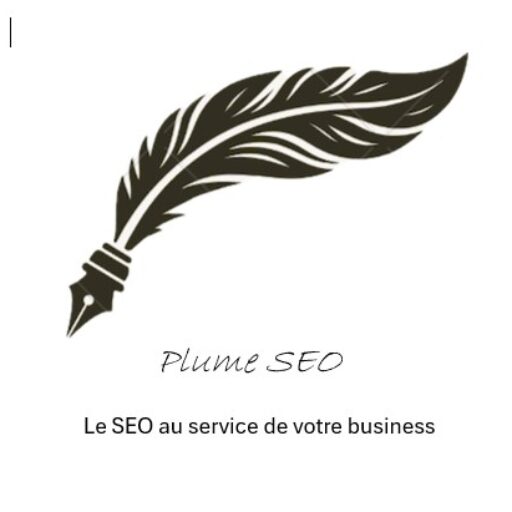 Référencement de site Web entrepreneur- Le Mans (72)